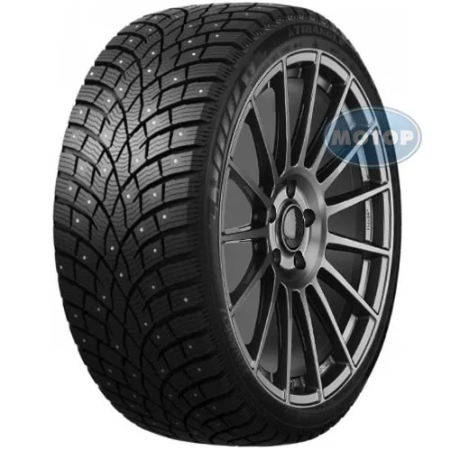 Triangle IcelynX TI501 205/55 R16